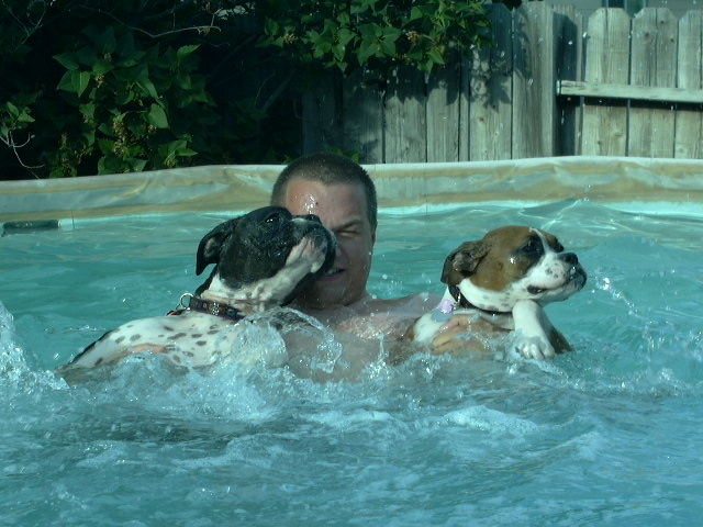 Swimming lessons for Ruby and Beanie