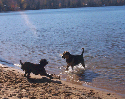 Swimming on Thanksgiving???