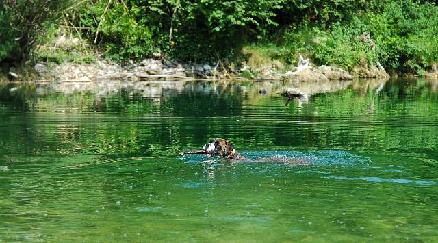 Swimming well