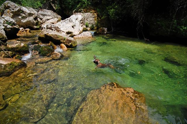 Swimming well