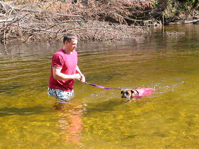 swimming with lifejacket