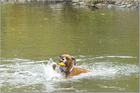 Swimming