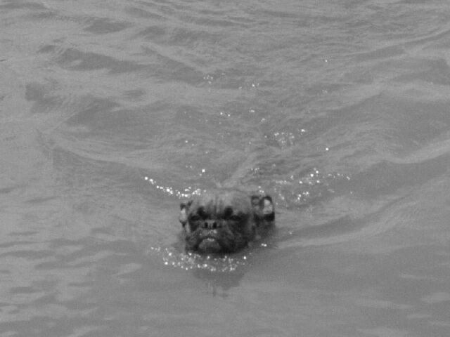 Swimming!