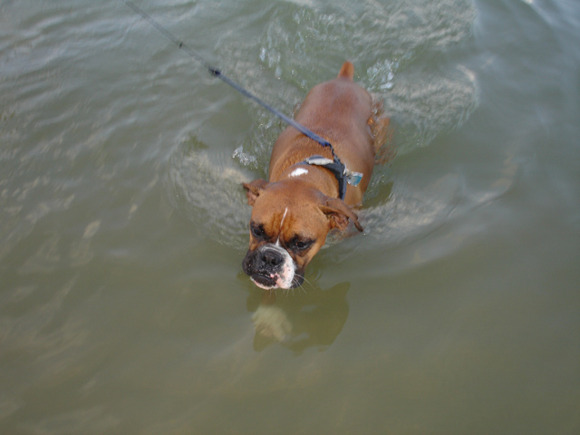 Swimming