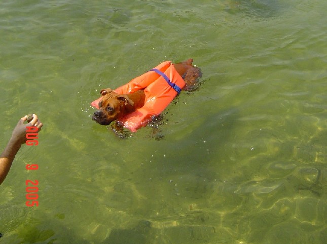 Swimming