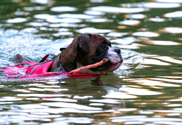 Swimtime