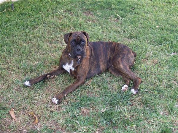Syd @ 15 Month's Old