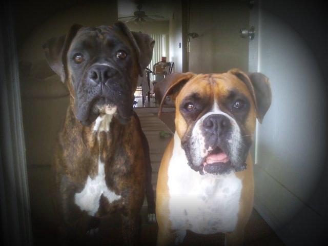 Syd and Samantha