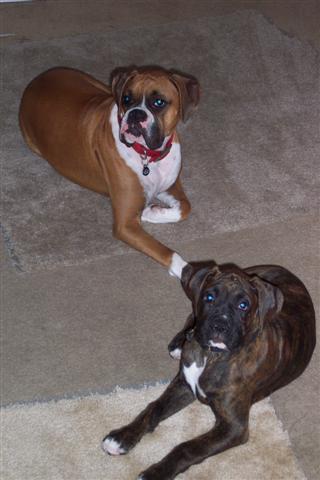 Syd & Samantha