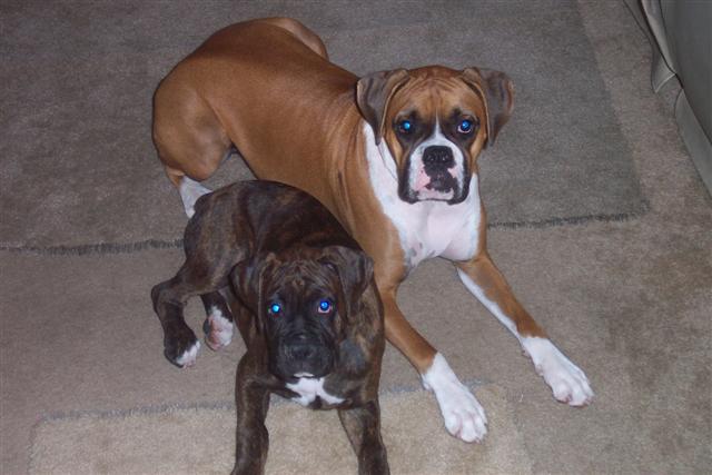 Syd & Samantha