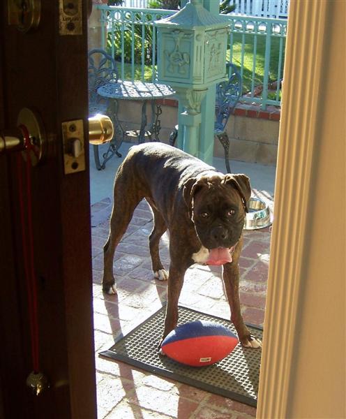 Syd_3_Years_10_Months_Old