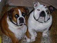 Sydney and her sister Izobella