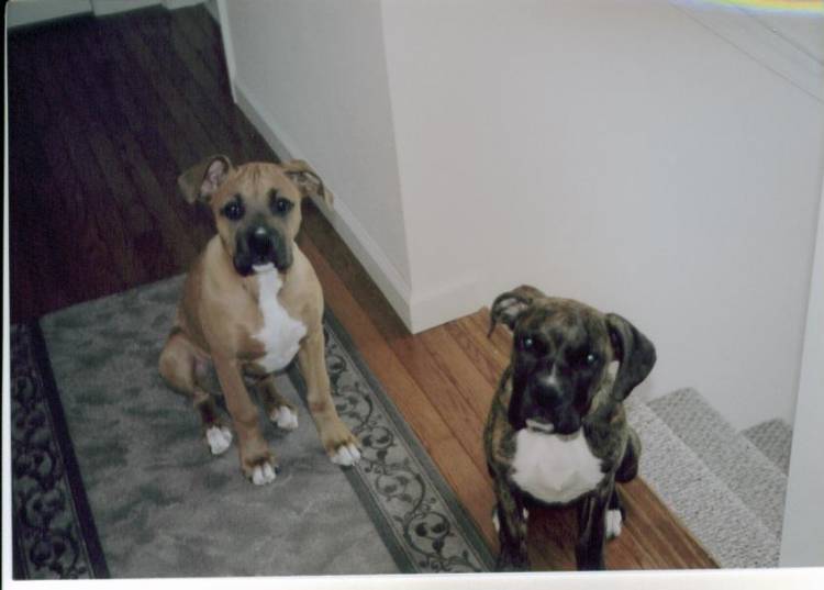 Sydney and her sister Sasha