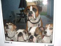 Sydney and her sisters.