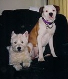 Sydney and Zoe