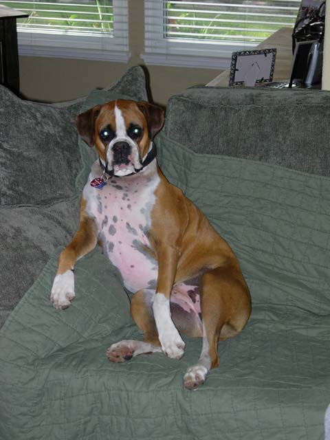 Sydney Chillin' on Sunday Morning