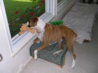 Sydney watching the kids play!