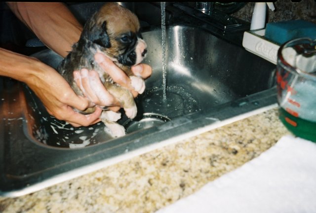 Syxx's first bath