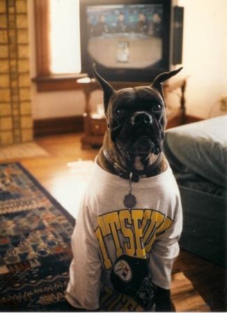 T-Rex, the Steeler's Fan