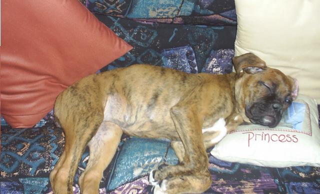Taika sleeping