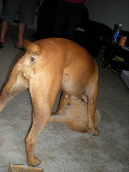 Tail Action shots