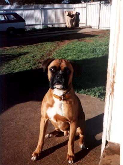 Taison when he was younger