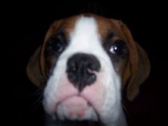 Take my close up!