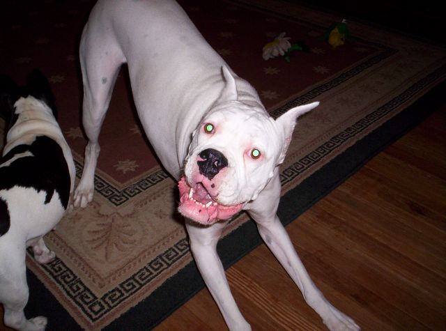 Take my pic momma!
