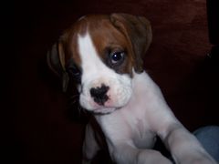 Take my picture!