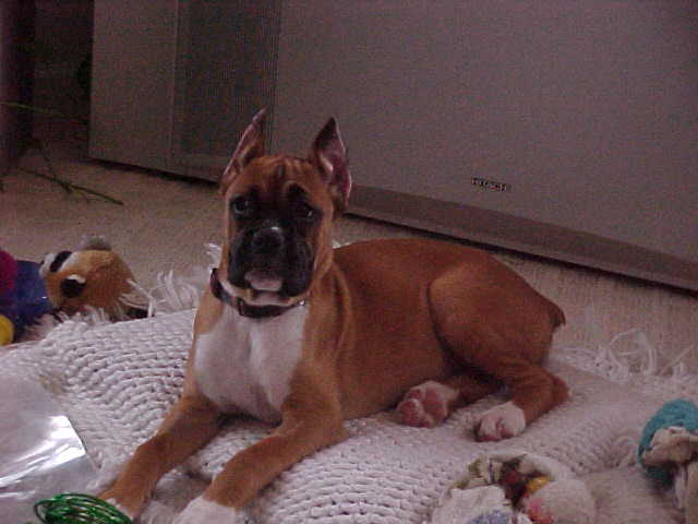 Taken 2/18/06