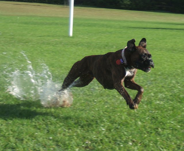 Takeoff!