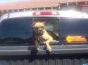 Takin' A Ride