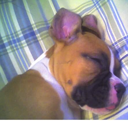 Takin' a Snooze
