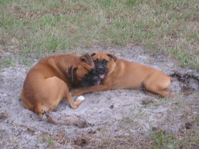 Taking a break from digging