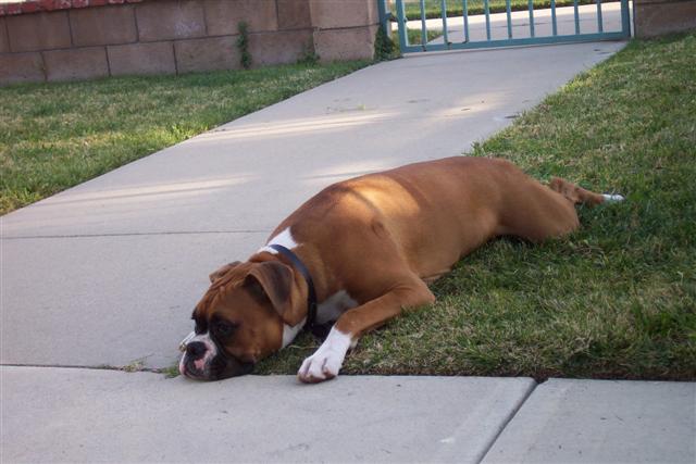 Taking a Break