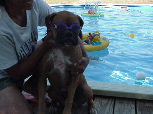 taking a dip