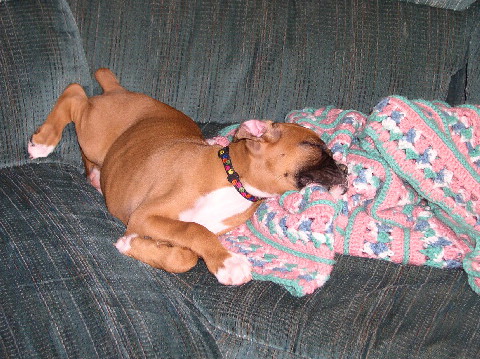 Taking a Nap