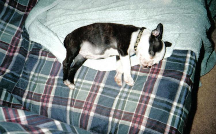 Taking a nap