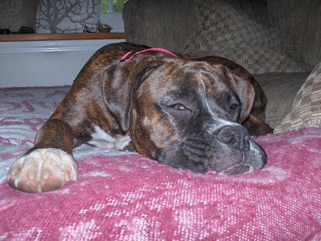 Taking a nap