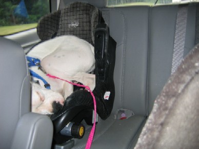 Taking a ride