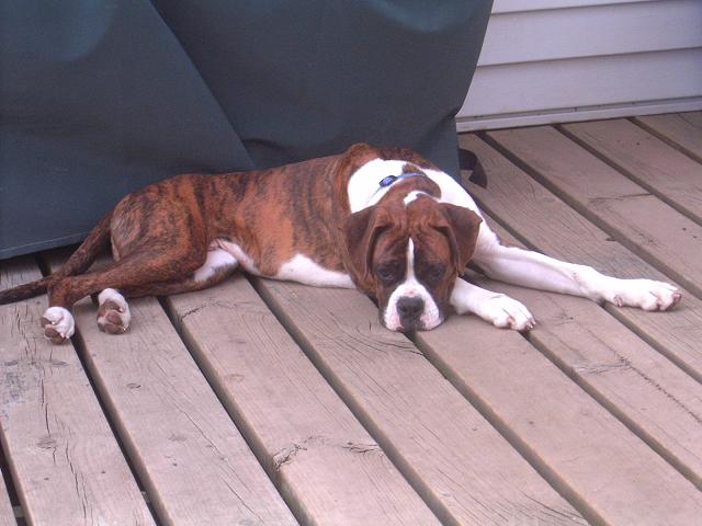 Taking a snooze