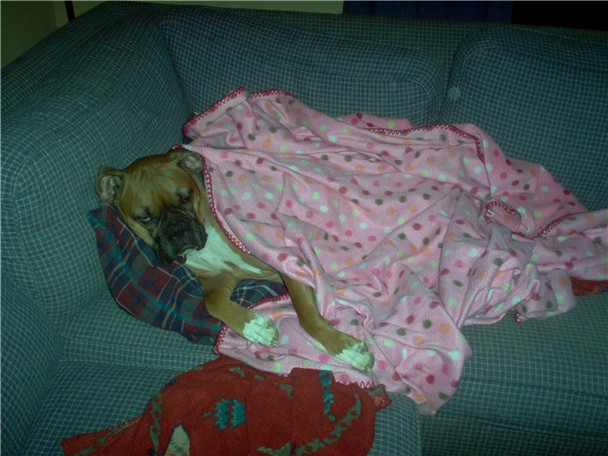 Taking a snooze