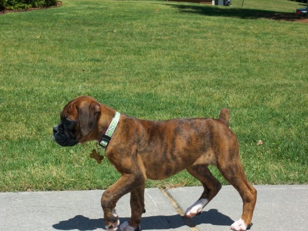 Taking a Walk