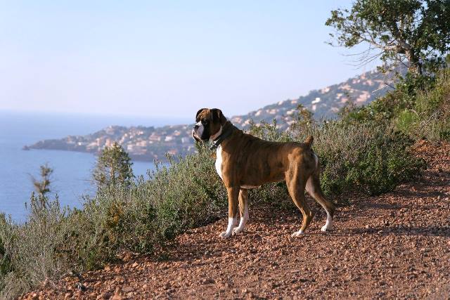 Taking in the view