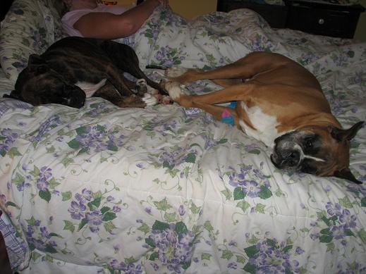 taking over the bed