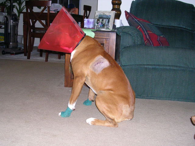 Talk to the cone