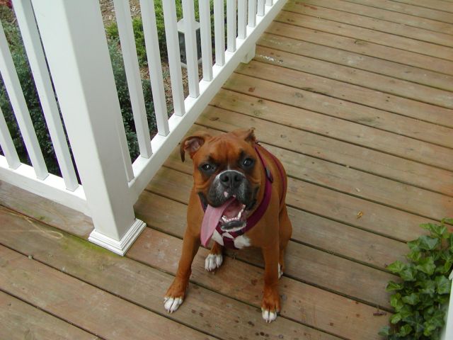 Talk to the tongue!