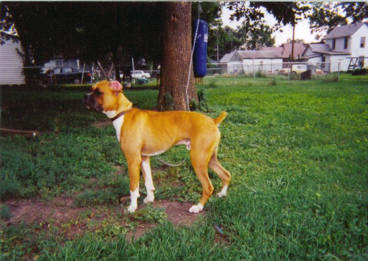 Tallamaska @ 7 mos.