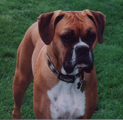Tallie @ 16 months