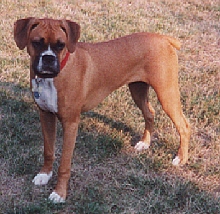 Tallie @ 6 mos.